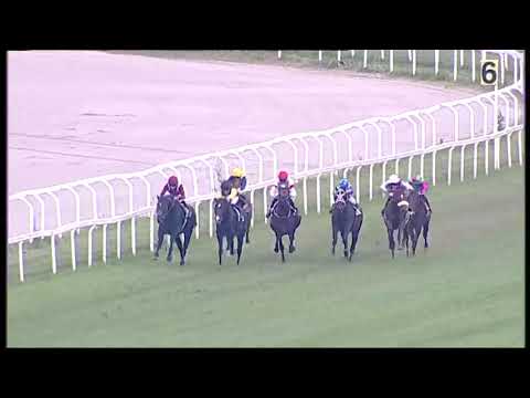 2025.10.19 Gran Premio del Jockey Club (ITA) - Eydon