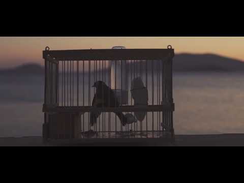 Ζωγράφος x Wise Dopes - Φλόγα ψυχρή  συμμ. Θοδωρής Καρέλλας (Official Video)