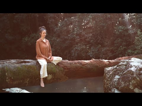 QUE CAMINHO SEGUIR: RAZÃO OU CORAÇÃO? Uma meditação guiada | Camila Zen