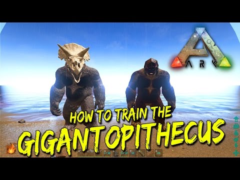 How to tame a Gigantopithecus in Ark (Bigfoot)