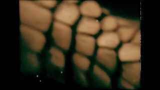 Intro (The dead of all needs) - Bereshit