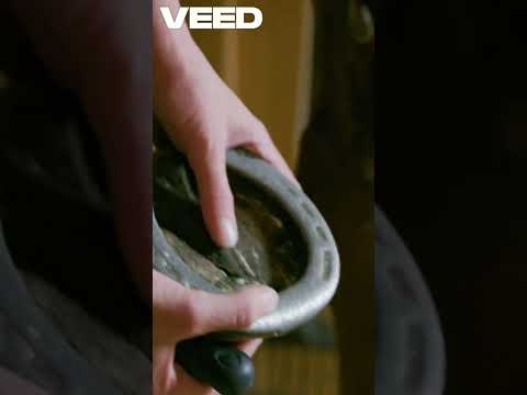 White Line Disease in Horses? Here's How to Treat It Fast!