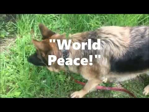 DUTCH     Lady Freedom feat. World  Peace