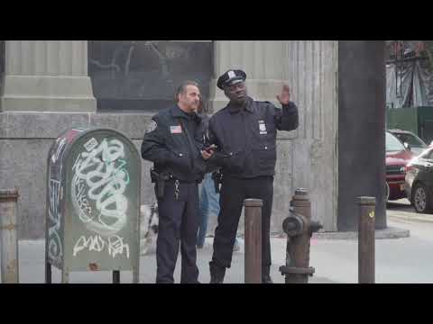 How to with John Wilson - Animal deterrents