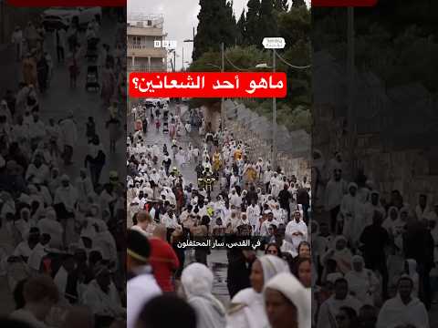 فيديو | ما هو أحد الشعانين الذي يحتفل به المسيحيون حول العالم؟