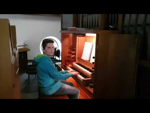 EG 316 Lobe den Herren den mächtigen König der Ehren