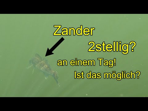 Jiggen auf Zander und Barsch an einem großen See! 2 stellig fangen an einem Tag ? Ist das möglich ?