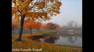 Video of Argyle Park Babylon Village NY