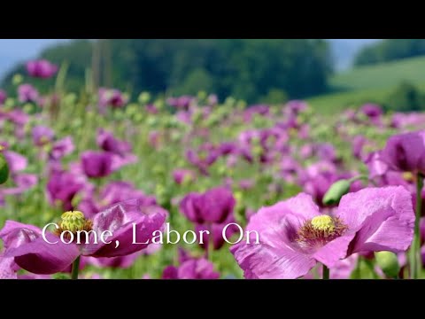 357 SDA Hymn - Come, Labor On (Singing w/ Lyrics)