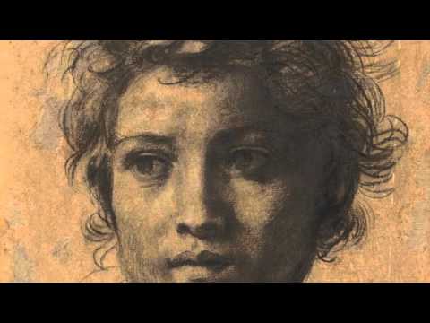 Andrea del Sarto: The Renaissance Workshop in Action