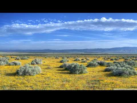 Ciaran McAuley - Love Heals (Ronski Speed Extended Mix) [Black Hole]