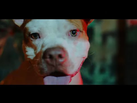 MechansT - OU PA FRAPE’M  ft. Bourik The Latalay ( Official Video )