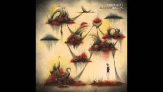 Eluvium - Adolescent Space Adventures Outside the Supermarket (Bonus Track)