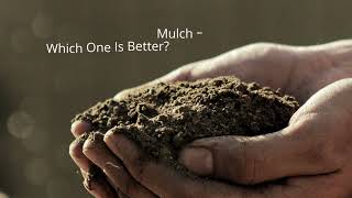 Cypress Mulch vs Cedar Mulch – Which One Is Better
