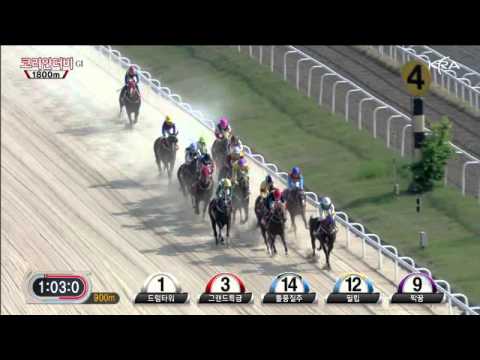 Korean Derby 2012.wmv