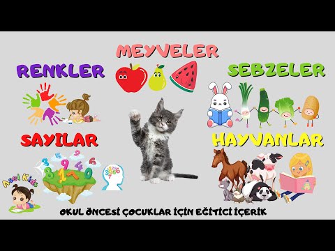 MEYVELER, SEBZELER, RENKLER, SAYILAR  VE HAYVANLARI ÖĞRENİYORUZ - ÇOCUKLAR EĞİTİCİ VİDEO