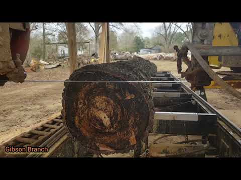 Sawmilling | Unique Persimmon Slabs