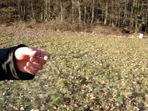 Uri Geller in Halsbach