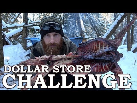 Winter Solo Survival Challenge with Minimal Tools! | Bushcraft Shelter, Spit Roast Cooking Wild Food