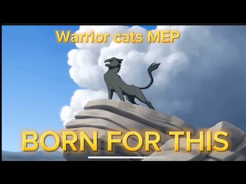 ~Born for this~ warrior cats MULTI-EDITOR PROJECT