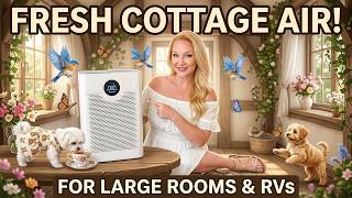 Cobectal Air Purifier Overview