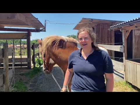 Bodenarbeitskurs mit Lara Tauer | FMA | Easyflix Hannah nimmt euch mit