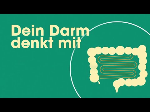 Darm-Hirn-Achse: Warum dein Darm dein zweites Gehirn ist