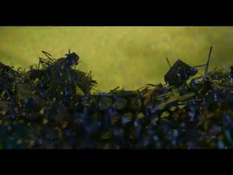 VSK "Man about town" - OPPOSITE EQUIPOISE VA [JTS006-D]