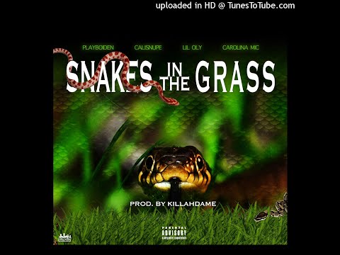 Snakes In The grass - Playboiden XCalisnupe X  Lil Oly