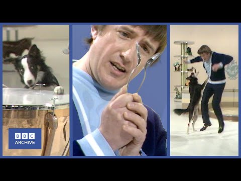 1972: When ROY CASTLE met SHEP the dog | Blue Peter | Children's TV | BBC Archive