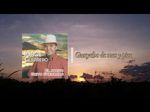 Jorge Guerrero - Guayabo de Mes y Pico (Audio Oficial)