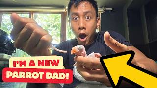 Raising a New Baby Parrot at Our Farmhouse 🦜 | Vlog #1884