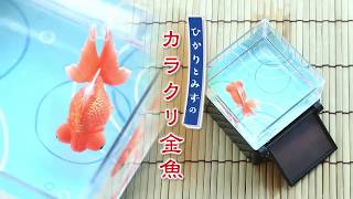 [問題] 關於養魚