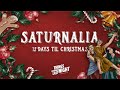 Saturnalia - The Tale of the Mock King | 12 Days Ep 1