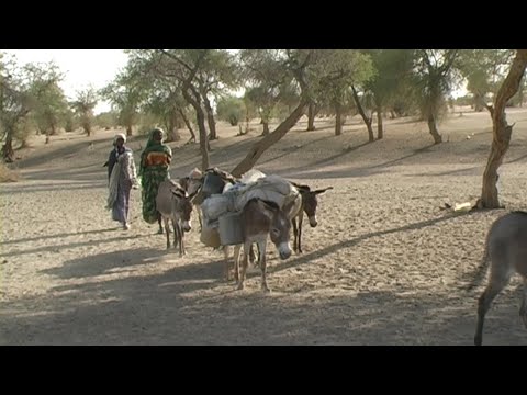 Almost 200,000 flee Sudan seeking refuge in Chad (2004)