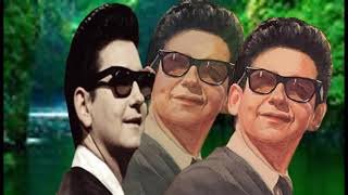 ROY ORBISON   IT AIN&#39;T NO BIG THING