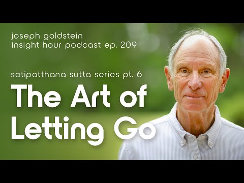 Joseph Goldstein's Satipatthana Sutta Series Pt. 6: The Art of Letting Go– Insight Hour Ep. 209