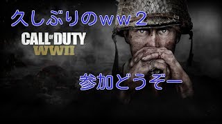てきとーww2生配信のんびりやっていくー