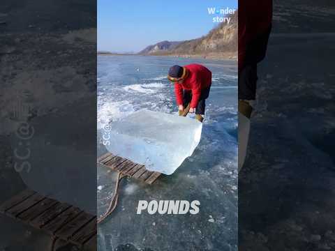 Spent Over $14K on Ice? This Chinese Artisan Turned It Into a Stunning 30-Meter Crystal snake!