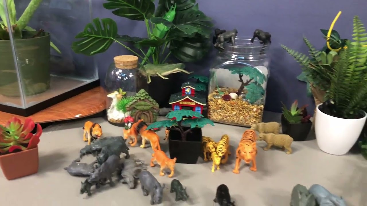 Alpha Renz: Lyons 8th grade science project