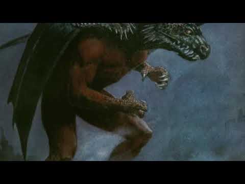 Shadley Peterson - Dolphins on Molly