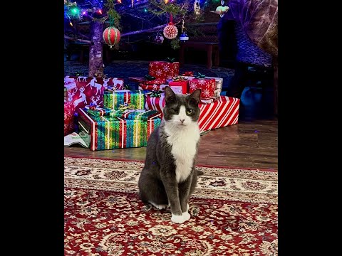 Episode 3061 CWSA 01/03/26