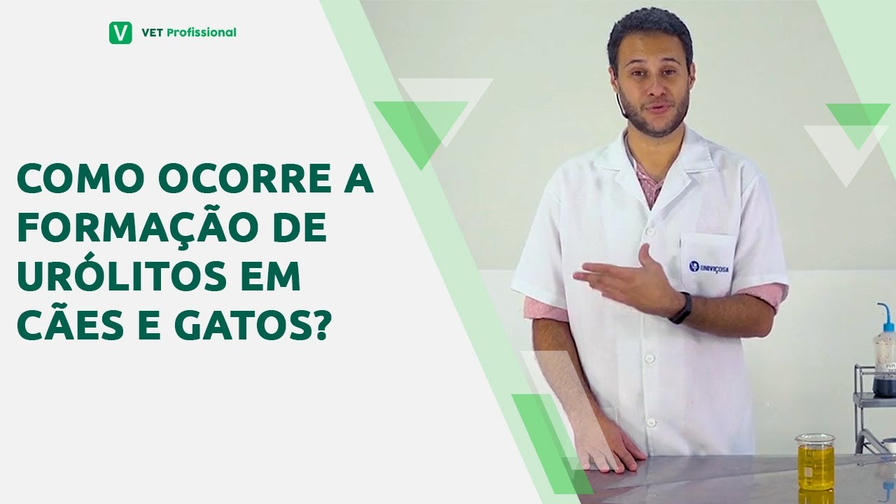 Urolitíase em Cães e Gatos