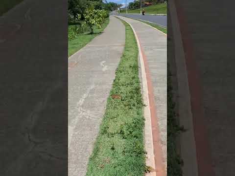 Pista de ciclismo