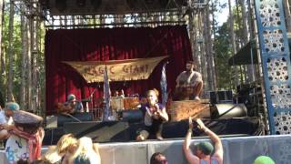 Magic Giant - Window at Electric Forest 2016