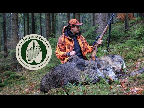 HOD - Drückjagdmärchen #4 - Jagd im Winter 2018 - jetzt neu auf HUNT ON DEMAND! - jagenNRW