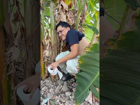 LA PIZZA ⁠@joranfrancoficial #shorts #comedy