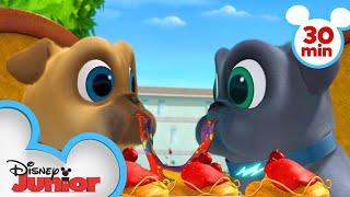 Bingo and Rolly Travel Across Europe! | 30 Minute Compilation | Puppy Dog Pals| Disney Junior