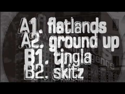 Swarm Intelligence - Flatlands (Earwiggle 017)