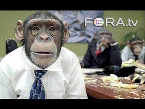 Sexual Aggression and Risk Taking: Are We That Different from Chimps?